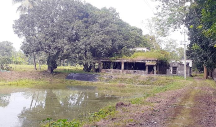 Mirsarai Fish Seed Production Farm মিরসরাই মৎস্য বীজ উৎপাদন খামার