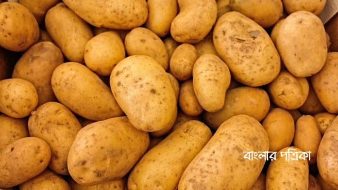 potato আলু