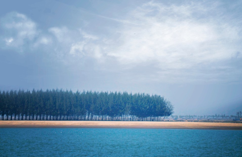 সেন্ট মার্টিন