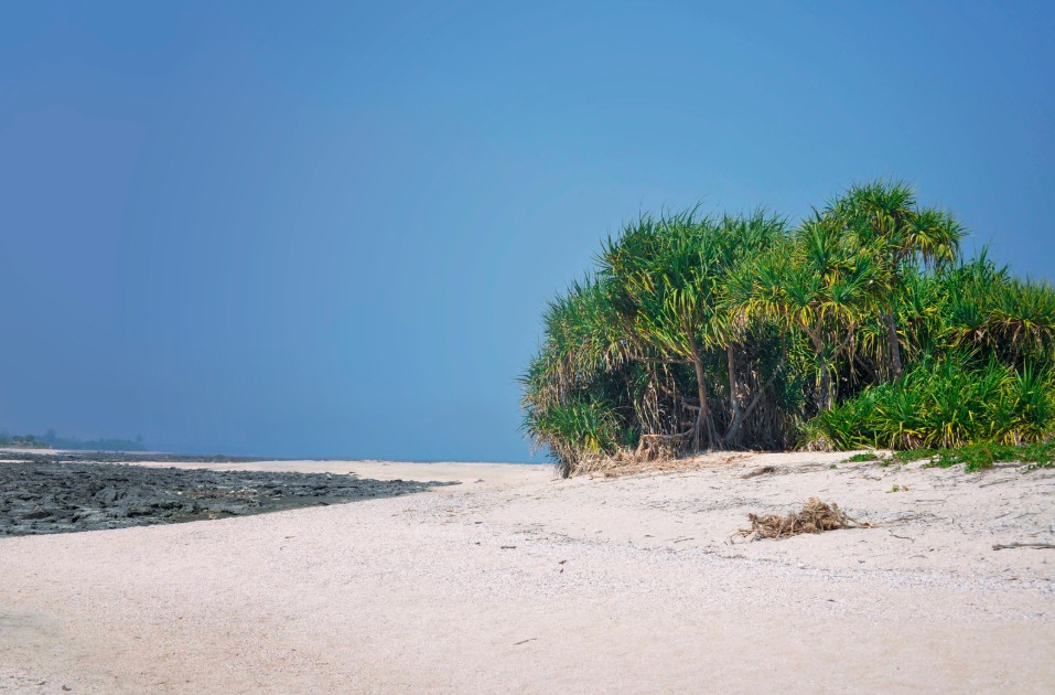 সেন্ট মার্টিন