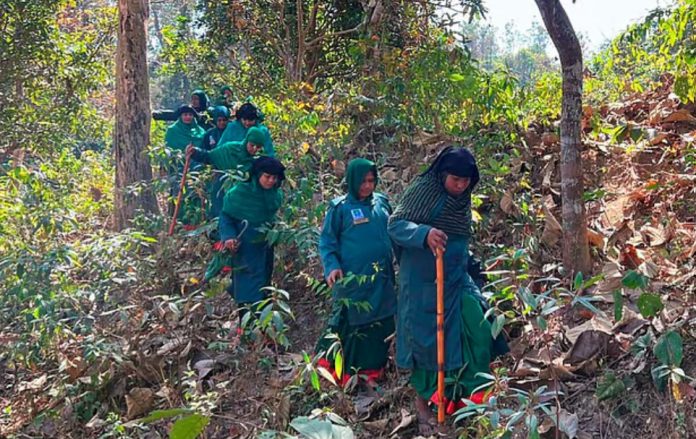 ২৮ নারীর বন রক্ষার সংগ্রাম