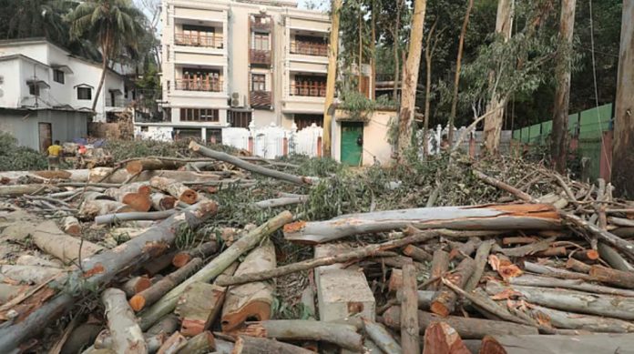 চট্টগ্রামে বন গবেষণা ইনস্টিটিউটের ভবন নির্মাণের জন্য কাটা হলো ৯৭টি গাছ