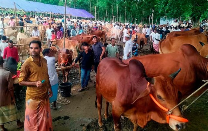 gorjonia bazar গর্জনিয়া বাজার