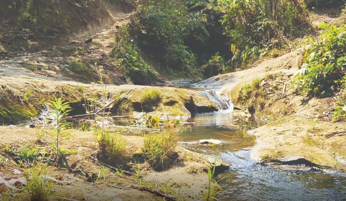 বন উজাড়ে শুকিয়ে যাচ্ছে ঝিরি-ছড়া: পার্বত্য চট্টগ্রামে বাড়ছে পানির সংকট