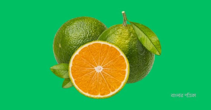 দেশি মাল্টা