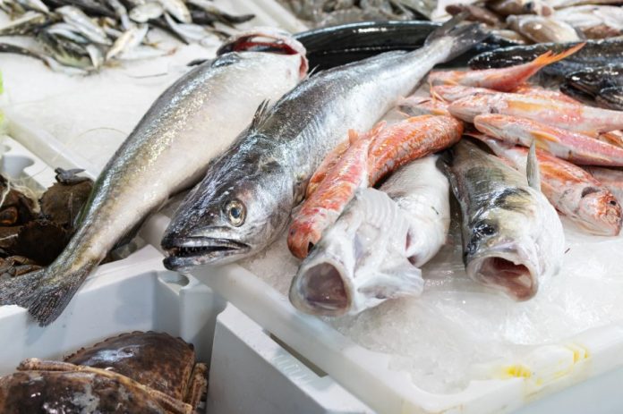 sea fish সামুদ্রিক মাছ