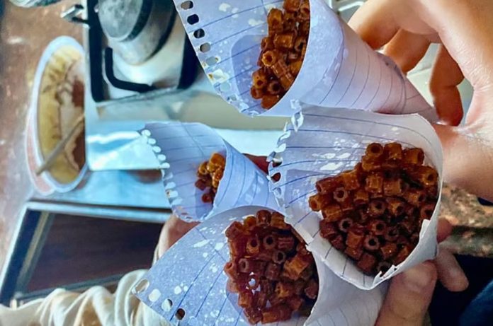 ‘নকল খাবার’ খেয়ে যেভাবে বেঁচে আছে গাজার মানুষ