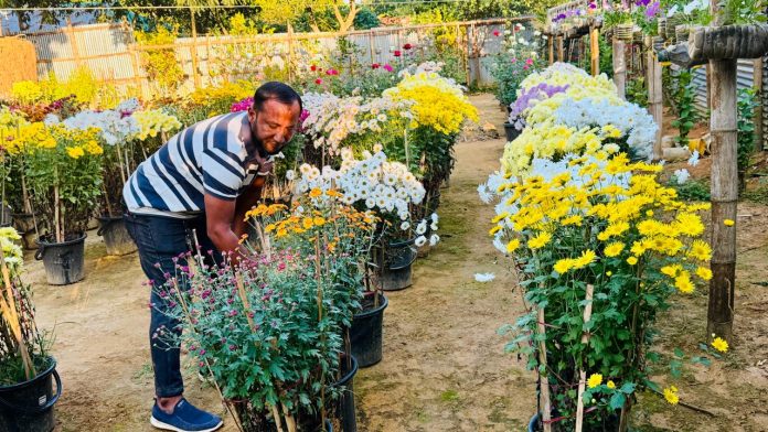 পাহাড়ের বুকে এক দম্পতির 'রঙিন' স্বপ্ন