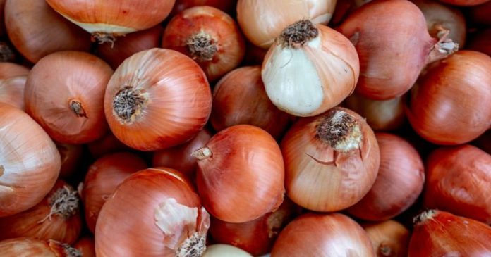 onion পেঁয়াজ